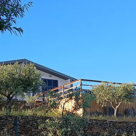 Casa Do Olival *